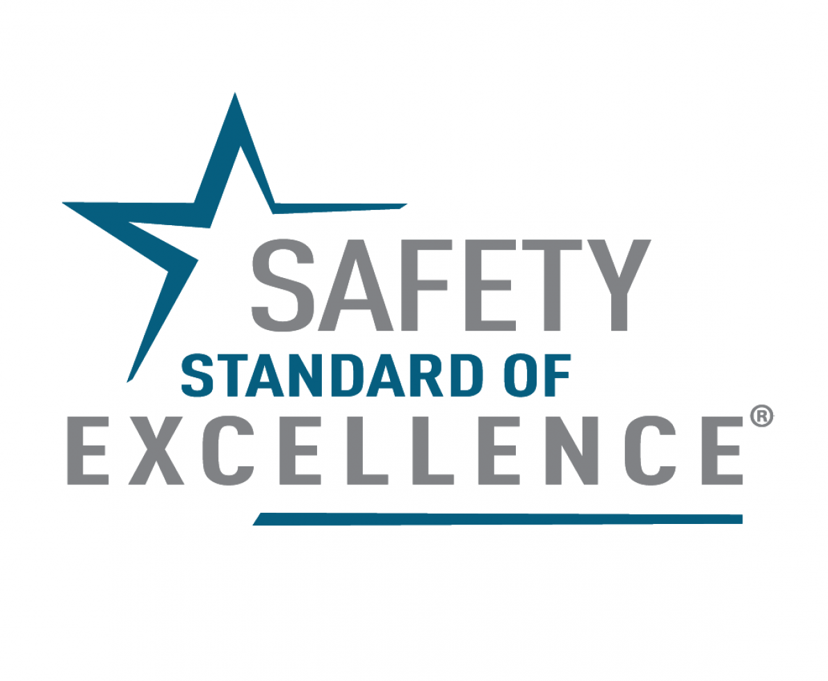 safety standard of excellence